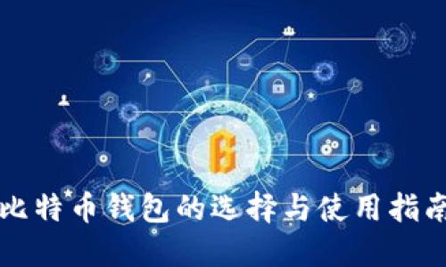 比特币钱包的选择与使用指南