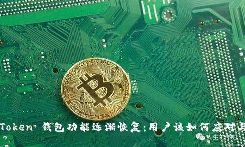 Plus Token 钱包功能逐渐恢复：用户该如何应对与利用？