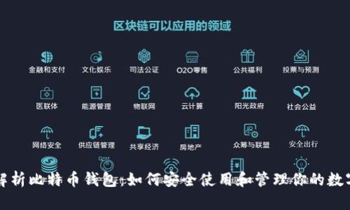 全面解析比特币钱包：如何安全使用和管理你的数字资产