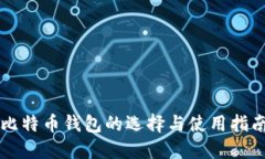 比特币钱包的选择与使用指南