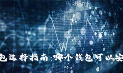 USDT钱包选择指南：哪个钱包可以安全收款？