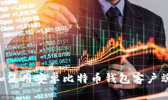 如何下载和使用安卓比特币钱包客户端：全面指