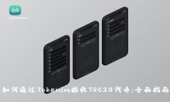 如何通过Tokenim接收TRC20代币：全面指南