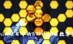 深入解析Tokenim项目中的BTFM：未来数字资产管理新