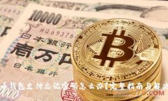 比特币钱包支付忘记密码怎么办？完整指南与解