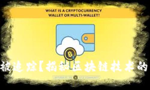 Tokenim能否被追踪？揭秘区块链技术的隐私与透明性