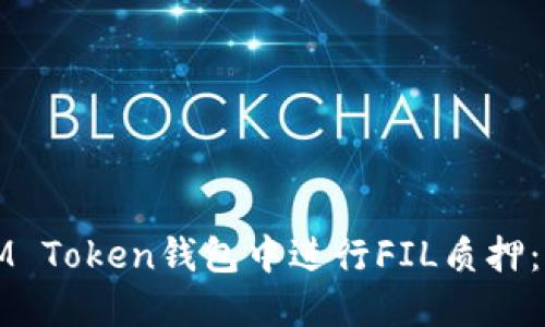 如何在IM Token钱包中进行FIL质押：完整指南
