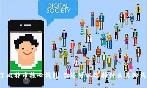 除了比特币核心钱包，你还可以选择什么其他钱包？