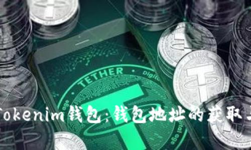 全面解析Tokenim钱包：钱包地址的获取与安全使用