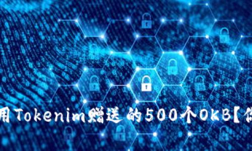 如何有效利用Tokenim赠送的500个OKB？你的投资指南