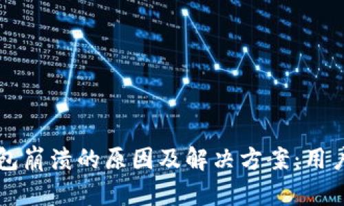比特币钱包崩溃的原因及解决方案：用户经验分享