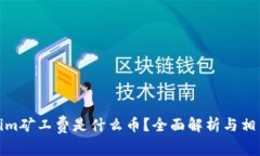 Tokenim矿工费是什么币？全面解析与相关知识