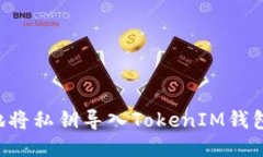 如何安全地将私钥导入TokenIM钱包：详尽指南