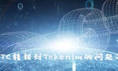 如何解决ETC转错到Tokenim的问题及预防措施