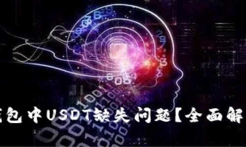 如何解决TP钱包中USDT缺失问题？全面解析及解决方案