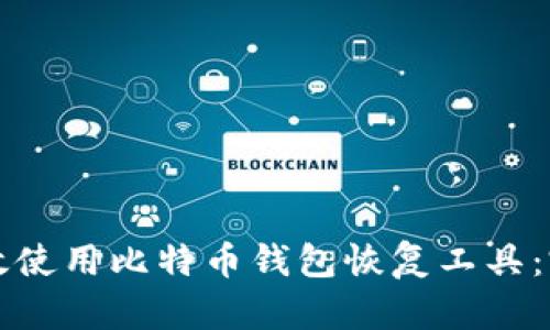 如何有效使用比特币钱包恢复工具：完整指南