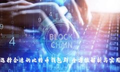 如何选择合适的比特币钱包群：全方位解析与实