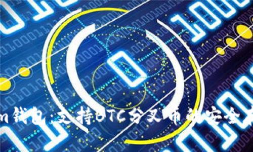 Tokenim钱包：支持BTC分叉币的安全存储方案