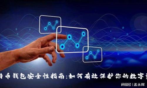 比特币钱包安全性指南：如何有效保护你的数字资产