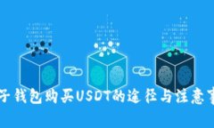 麦子钱包购买USDT的途径与注意事项