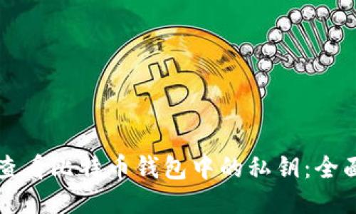 如何查看比特币钱包中的私钥：全面指南