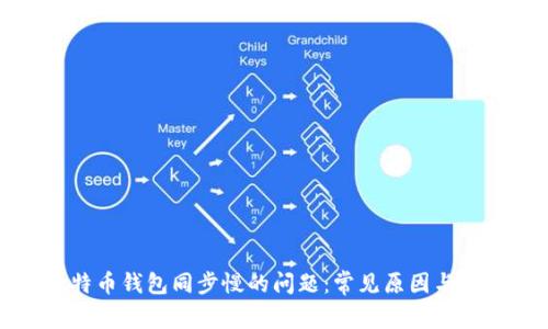 解决比特币钱包同步慢的问题：常见原因与解决方案