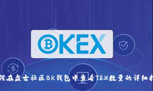 如何在盘古社区BK钱包中查看TRX数量的详细指南