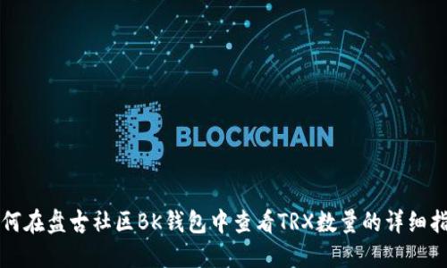如何在盘古社区BK钱包中查看TRX数量的详细指南