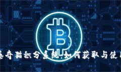 全面解析泰奇猫积分系统：如何获取与使用Toke