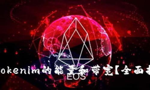 如何获取Tokenim的能量和带宽？全面指南与策略