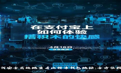 如何安全高效地查看比特币钱包地址：全方位指南