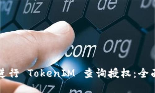 如何进行 TokenIM 查询授权：全面指南