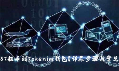 (如何将JST提币到Tokenim钱包？详尽步骤与常见问题解析