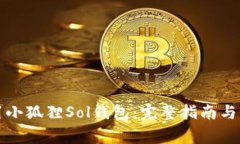 如何配置小狐狸Sol钱包：完整指南与常见问题