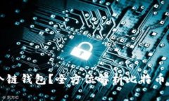 比特币提到哪个链钱包？全方位解析比特币钱包