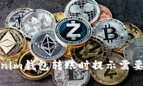 如何解决Tokenim钱包转账时提示需要项目ID的问题