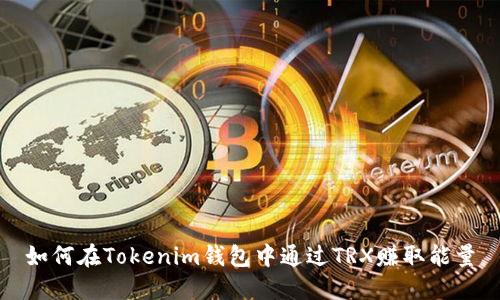 如何在Tokenim钱包中通过TRX赚取能量