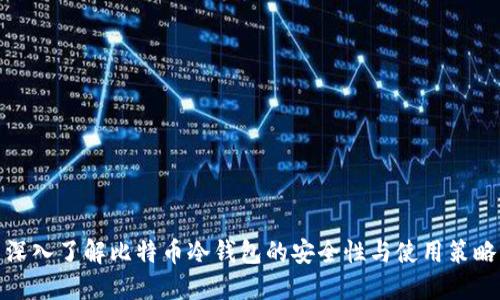 深入了解比特币冷钱包的安全性与使用策略