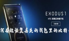 如何有效恢复丢失的钱包里的比特币？