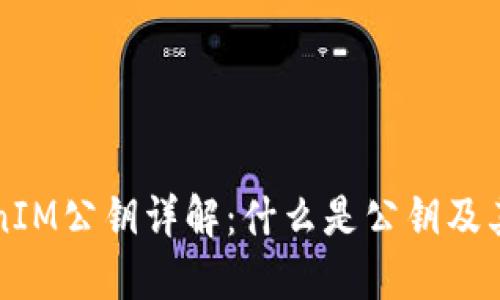 TokenIM公钥详解：什么是公钥及其应用