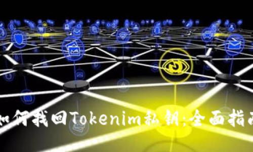 如何找回Tokenim私钥：全面指南