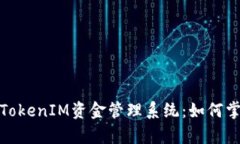 全面解析以太坊TokenIM资金管理系统：如何掌握数