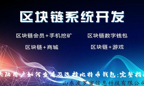 大陆用户如何查看及选择比特币钱包：完整指南