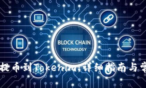 如何将Heco提币到Tokenim：详细指南与常见问题解答