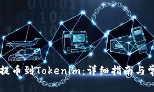 如何将Heco提币到Tokenim：详细指南与常见问题解答