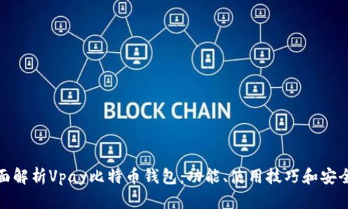全面解析Vpay比特币钱包：功能、使用技巧和安全性
