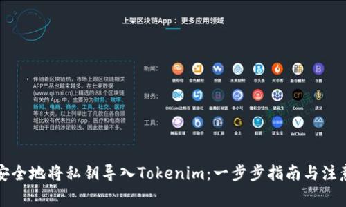 如何安全地将私钥导入Tokenim：一步步指南与注意事项