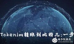如何将Tokenim转账到比特儿：一步步详解