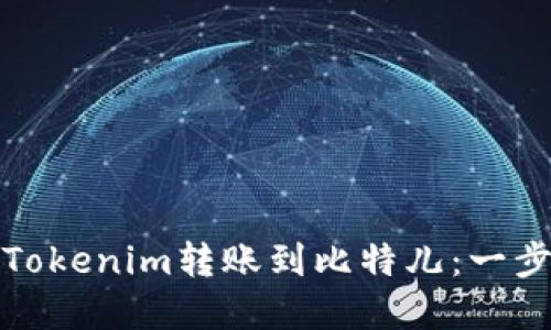 如何将Tokenim转账到比特儿：一步步详解