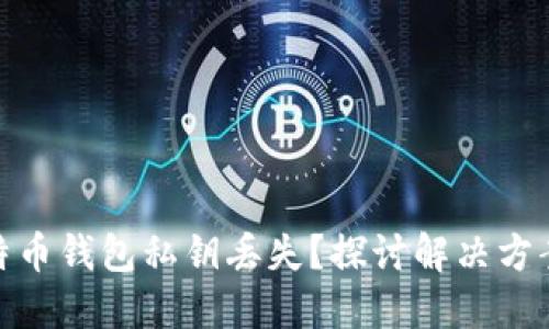 如何应对比特币钱包私钥丢失？探讨解决方案与防护措施